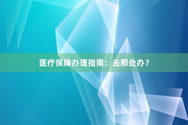 医疗保障办理指南：去那处办？