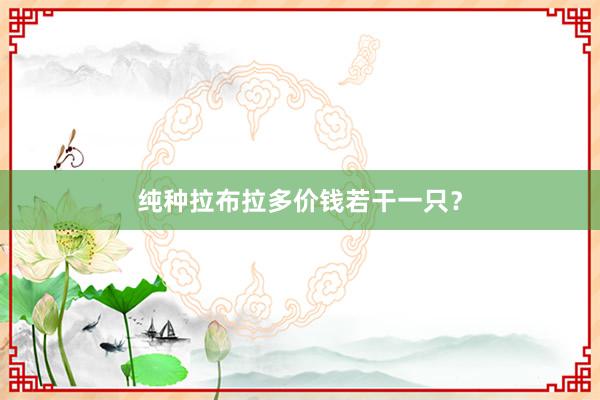 纯种拉布拉多价钱若干一只？