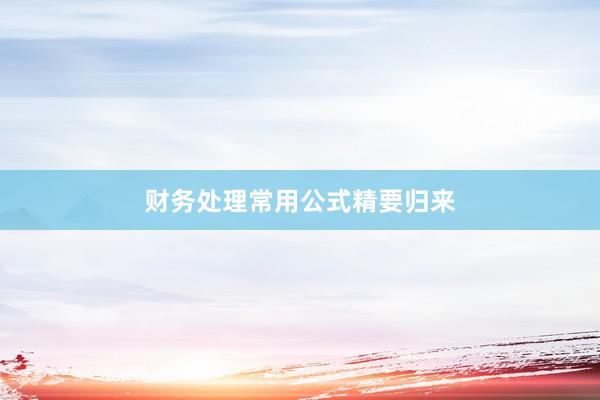 财务处理常用公式精要归来